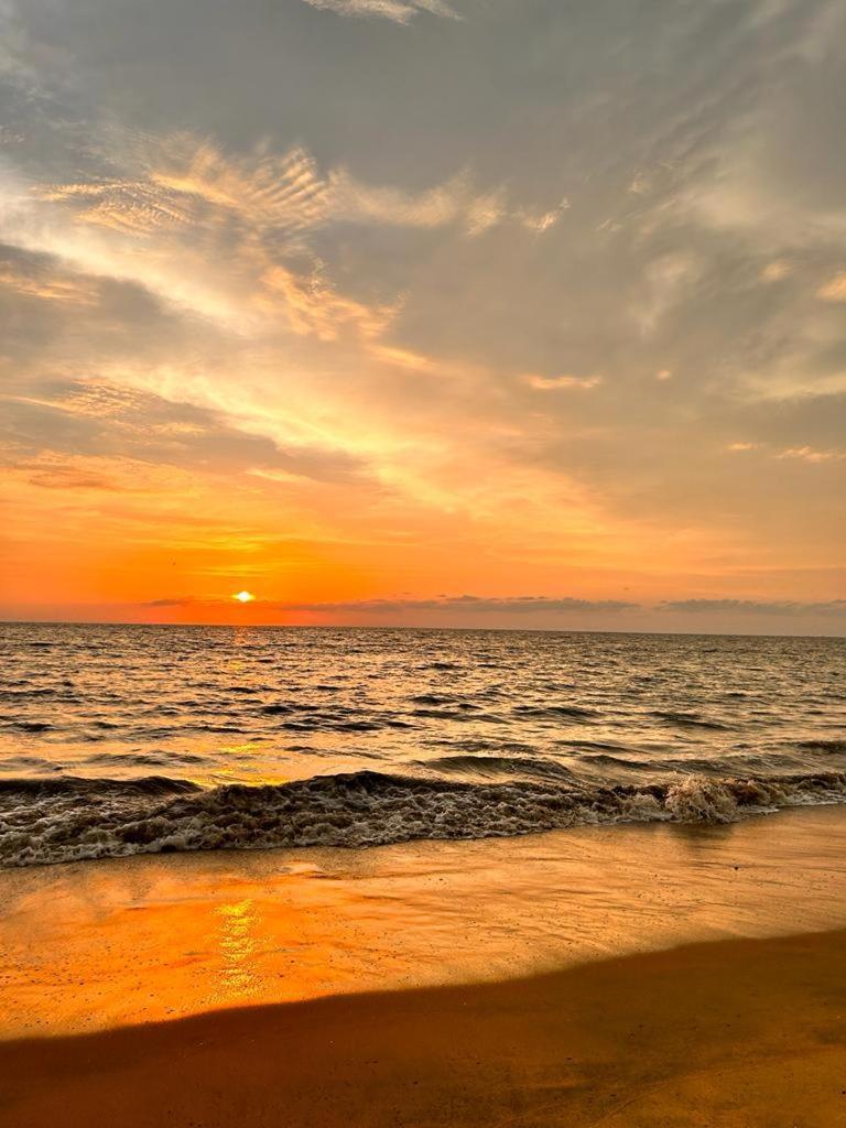 Enocean Homestay Cherai Beach Εξωτερικό φωτογραφία