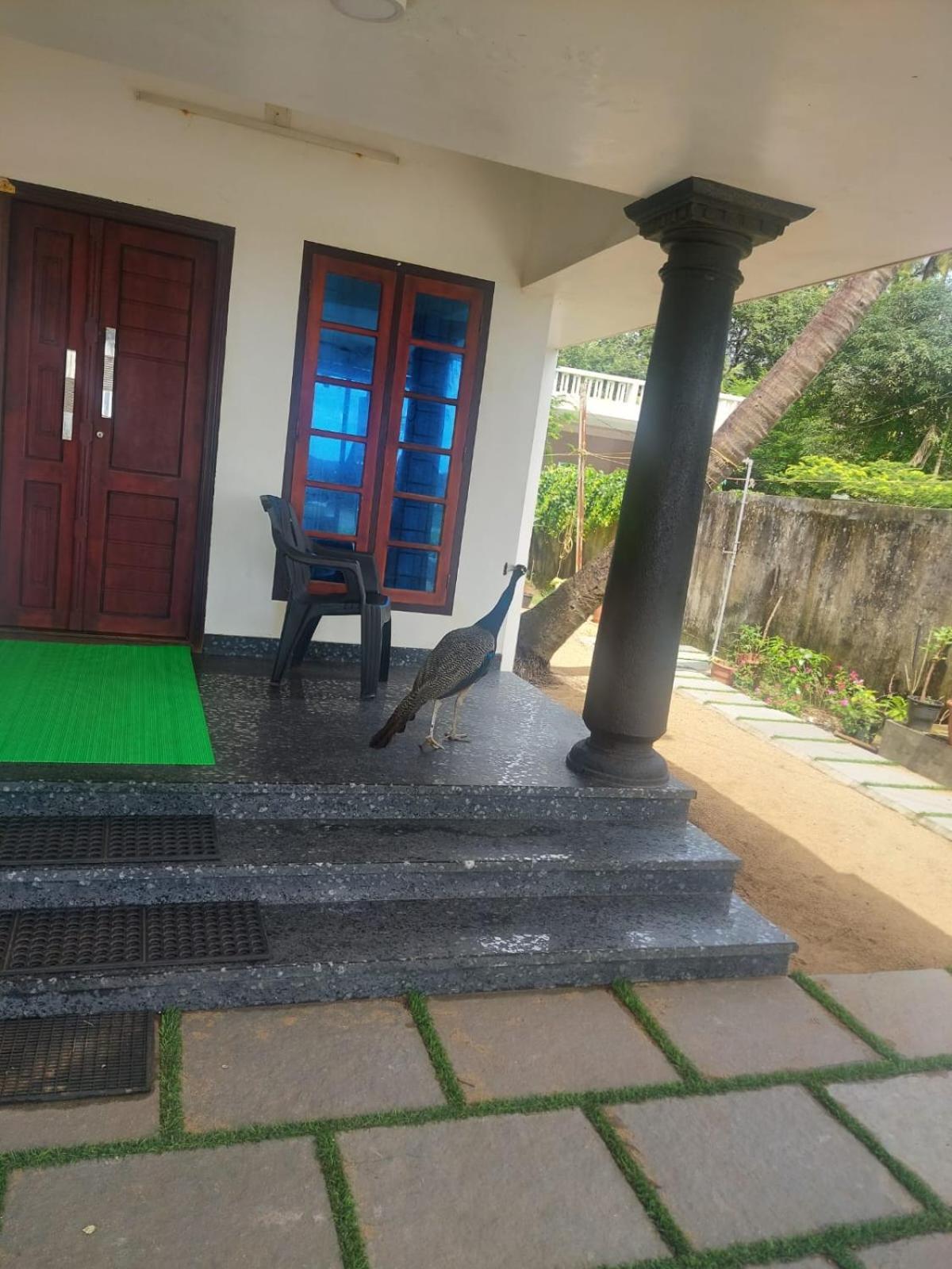 Enocean Homestay Cherai Beach Εξωτερικό φωτογραφία